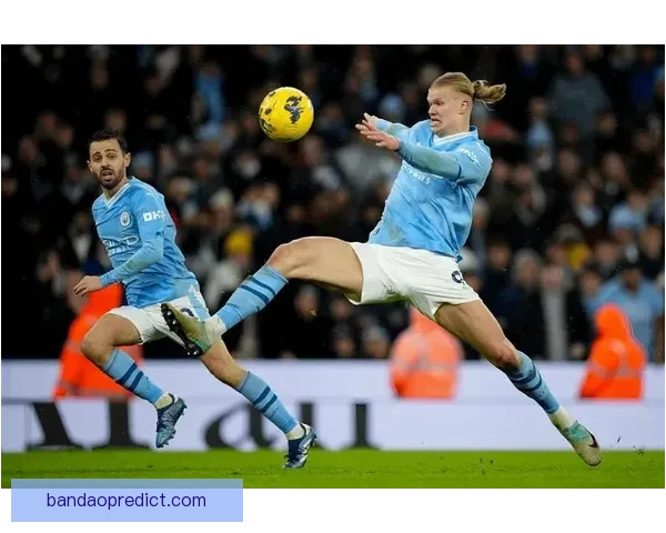 范奥利谈维罗纳胜利基恩失落心情莫伊塞表现依然未见突破